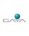 Gaya